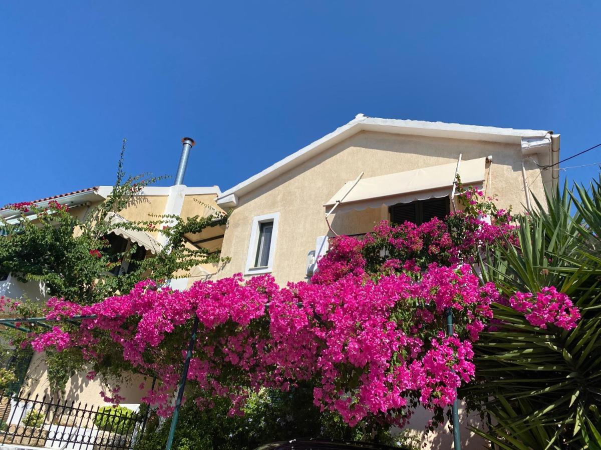 Casa Buganvilla 米尼亚 外观 照片
