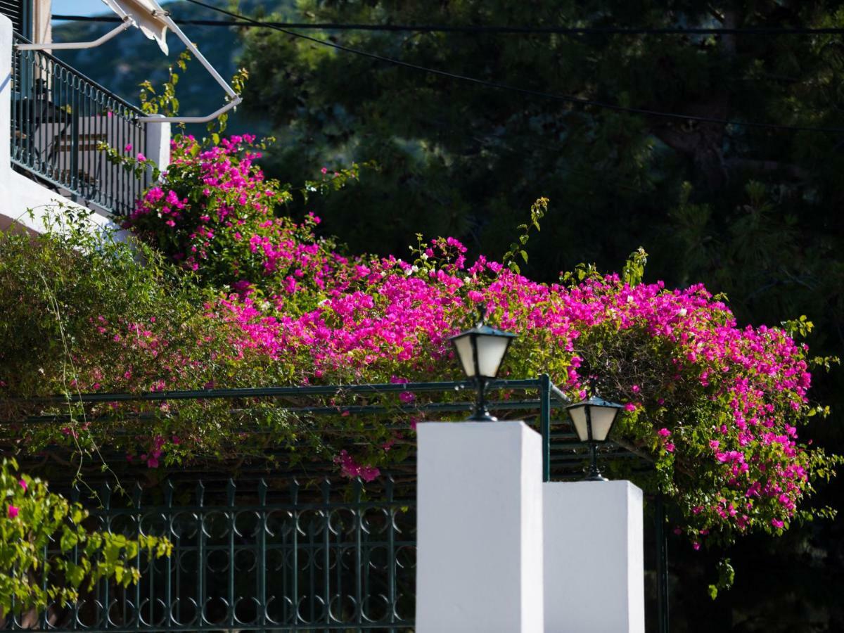 Casa Buganvilla 米尼亚 外观 照片