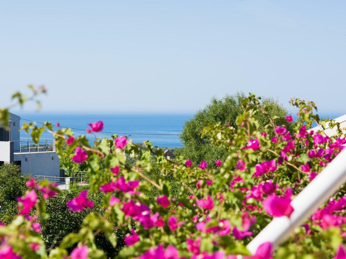 Casa Buganvilla 米尼亚 外观 照片
