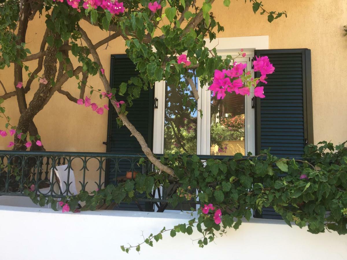 Casa Buganvilla 米尼亚 外观 照片