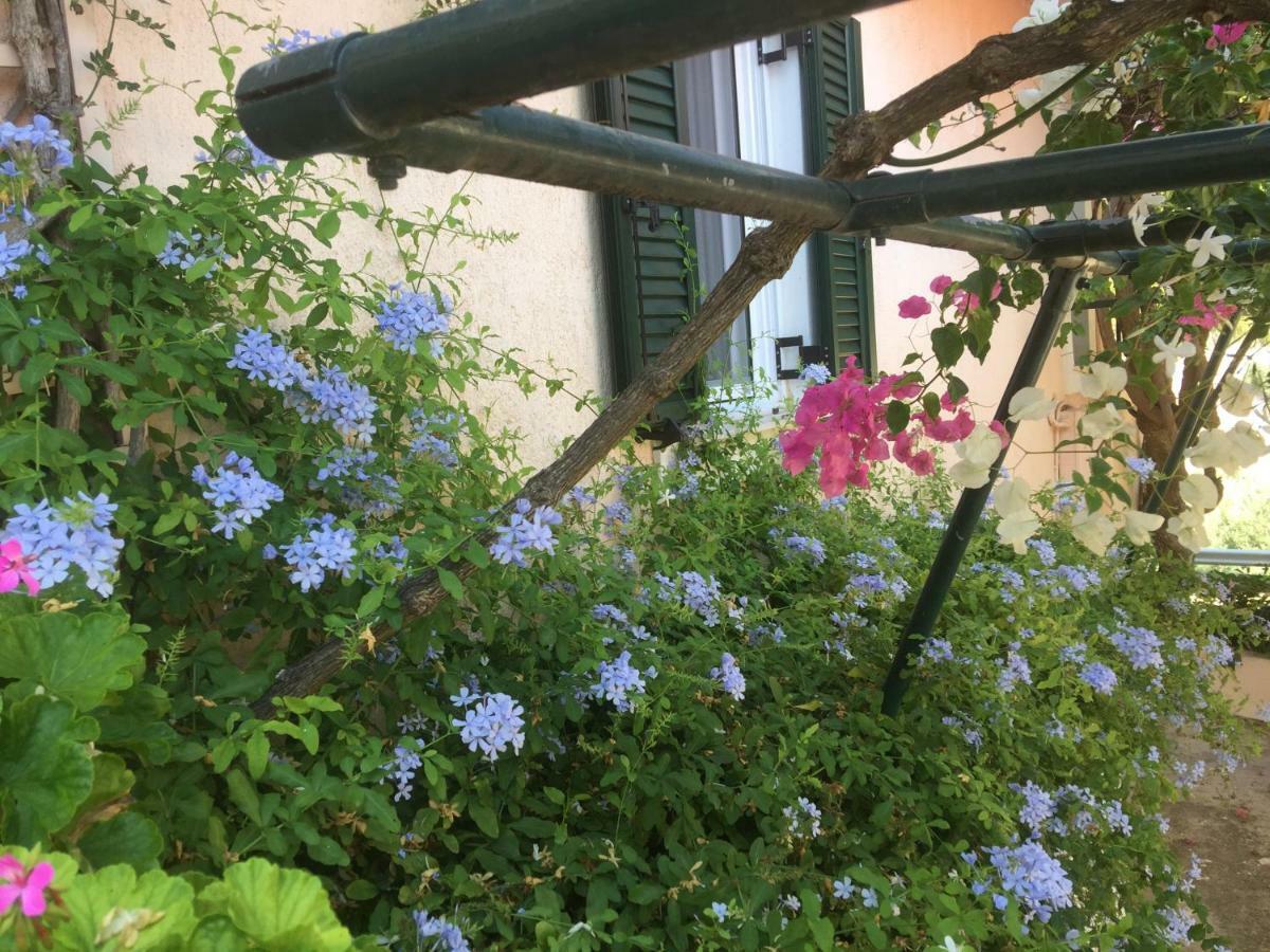 Casa Buganvilla 米尼亚 外观 照片