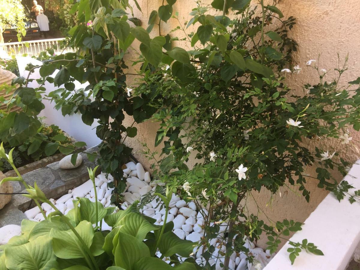 Casa Buganvilla 米尼亚 外观 照片