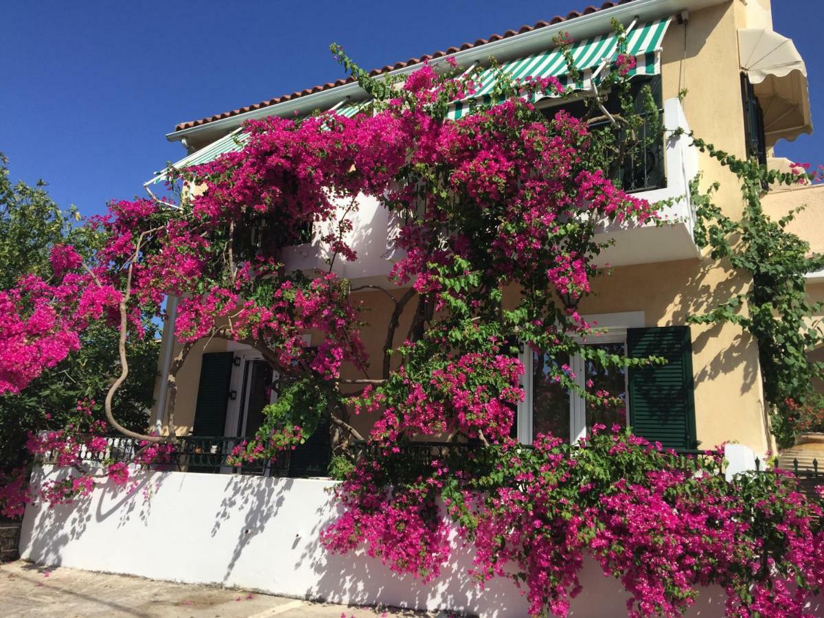 Casa Buganvilla 米尼亚 外观 照片