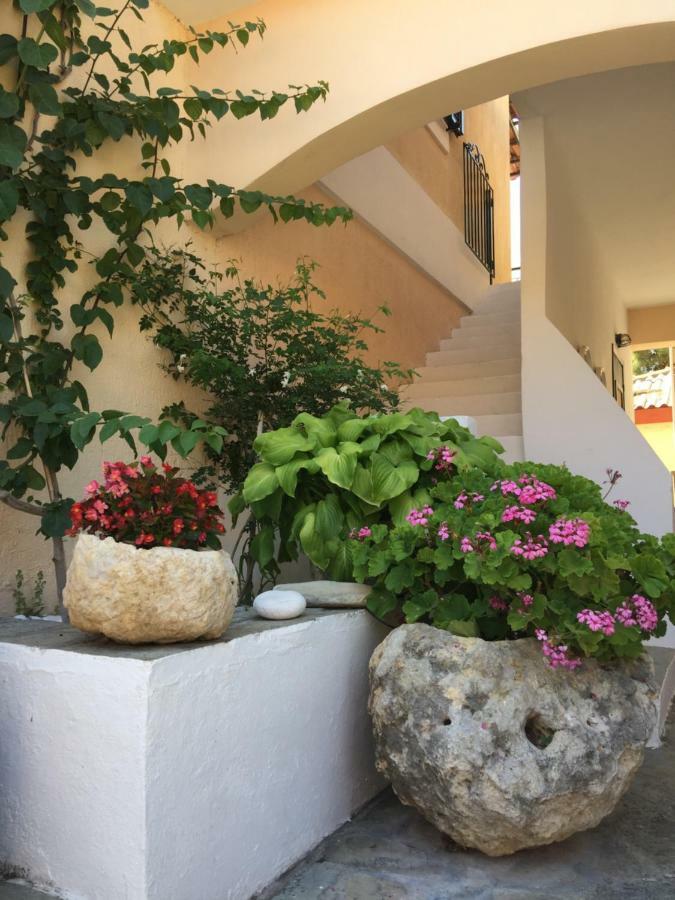Casa Buganvilla 米尼亚 外观 照片